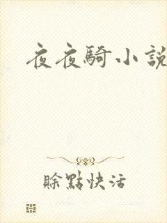 夜夜骑小说