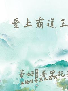 爱上霸道王子