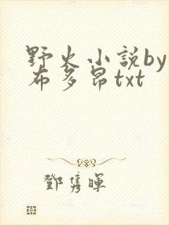 野火小说by夏布多昂txt
