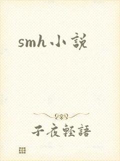 smh小说