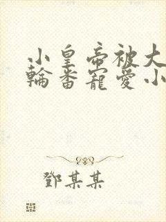 小皇帝被大臣们轮番宠爱小说