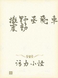 撒野丞飞车道具震动