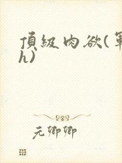 顶级肉欲(军高h)