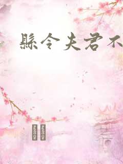 县令夫君不升堂