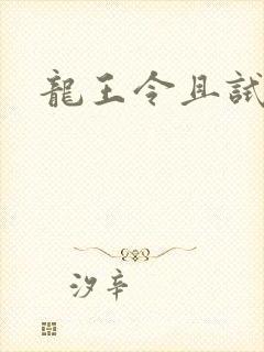 龙王令且试天下