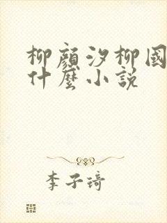 柳颜汐柳国安是什么小说
