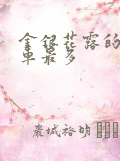 金银花露的哪个车最多