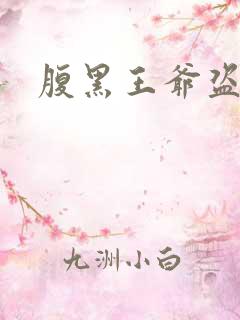 腹黑王爷盗墓妃