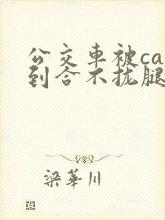 公交车被cao到合不拢腿视频