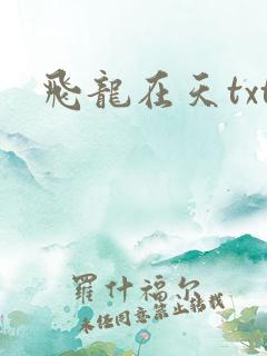 飞龙在天txt