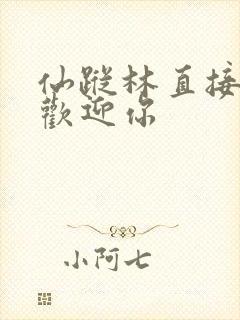 仙踪林直接入口欢迎你