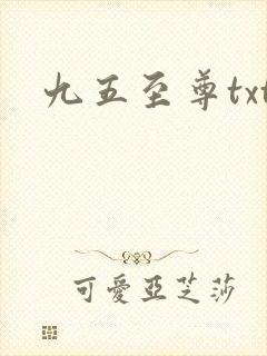 九五至尊txt
