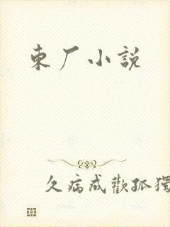东厂小说