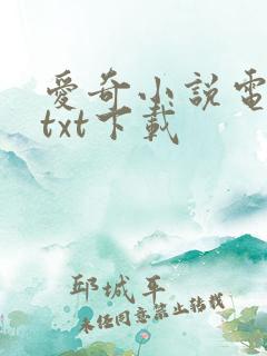 爱奇小说电子书txt下载