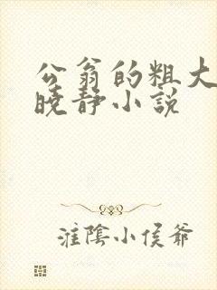 公翁的粗大放进晓静小说