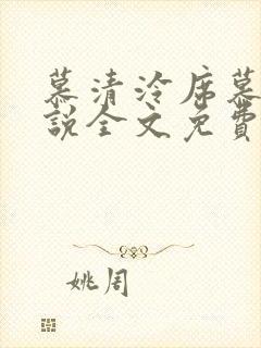 慕清泠席慕深小说全文免费阅读