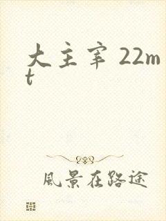 大主宰 22mt