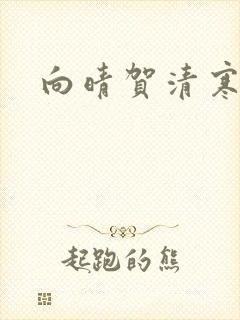 向晴贺清寒小说