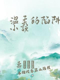 温柔的陷阱周芸小说