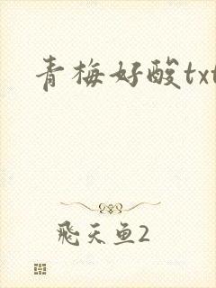青梅好酸txt