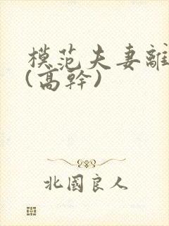 模范夫妻离婚了(高干)