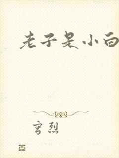 老子是小白脸
