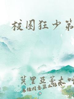 校园狂少第二部