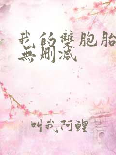 我的双胞胎老婆无删减