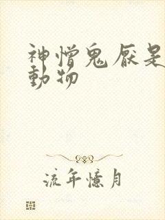 神憎鬼厌是什么动物