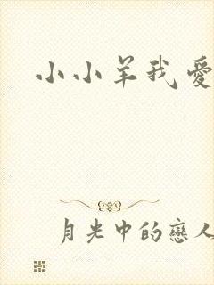 小小羊我爱你