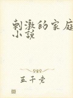 刺激的家庭乱仑小说