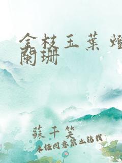 金枝玉叶 灯火阑珊