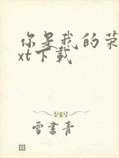 你是我的荣耀txt下载