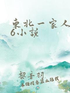 东北一家人1一6小说