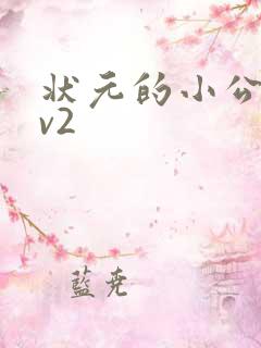 状元的小公主1v2