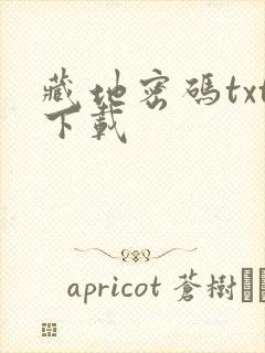 藏地密码txt下载