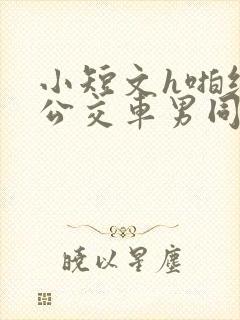 小短文h啪纯肉公交车男同