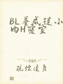 BL养成从小被肉H寝室