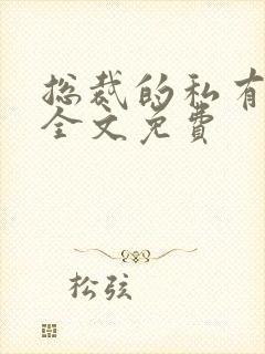 总裁的私有宝贝全文免费