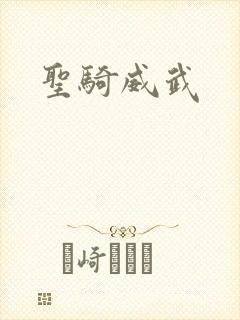 圣骑威武