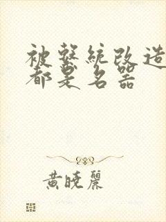 被系统改造全身都是名器