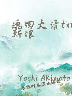 魂回大清txt新浪