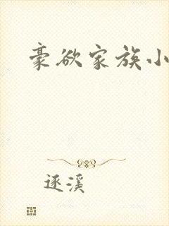 豪欲家族小说