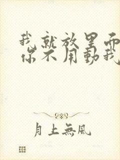 我就放里面不动你不用动我动