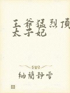 王爷猛烈顶弄H太子妃