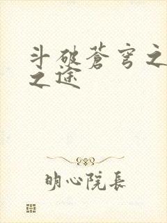 斗破苍穹之王者之途