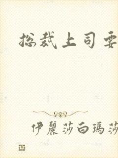 总裁上司要偷心