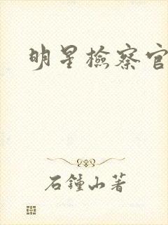 明星检察官小说