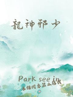 龙神邪少