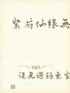 紫府仙缘无弹窗